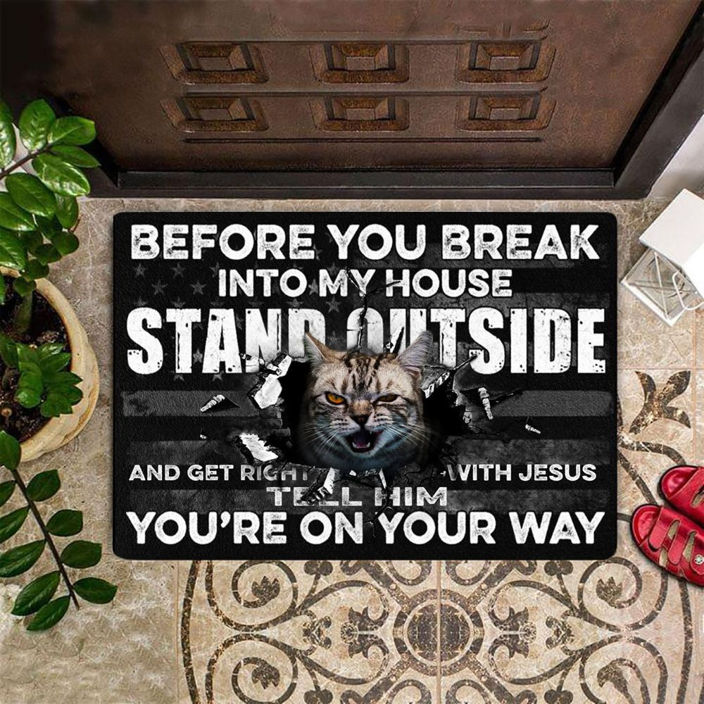 Cat Before You Break Into My House Stand Outside Rubber Doormat Unique Entry Mat For Cat Owner Gift