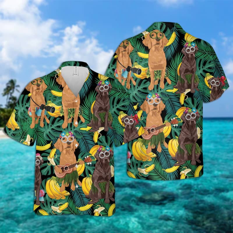 Chesapeake Bay Retriever Leaves Hawaiian Shirt