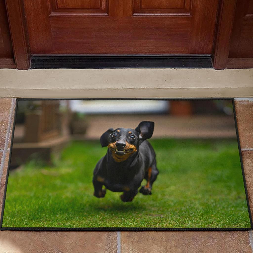 Funny dog Rubber Doormats