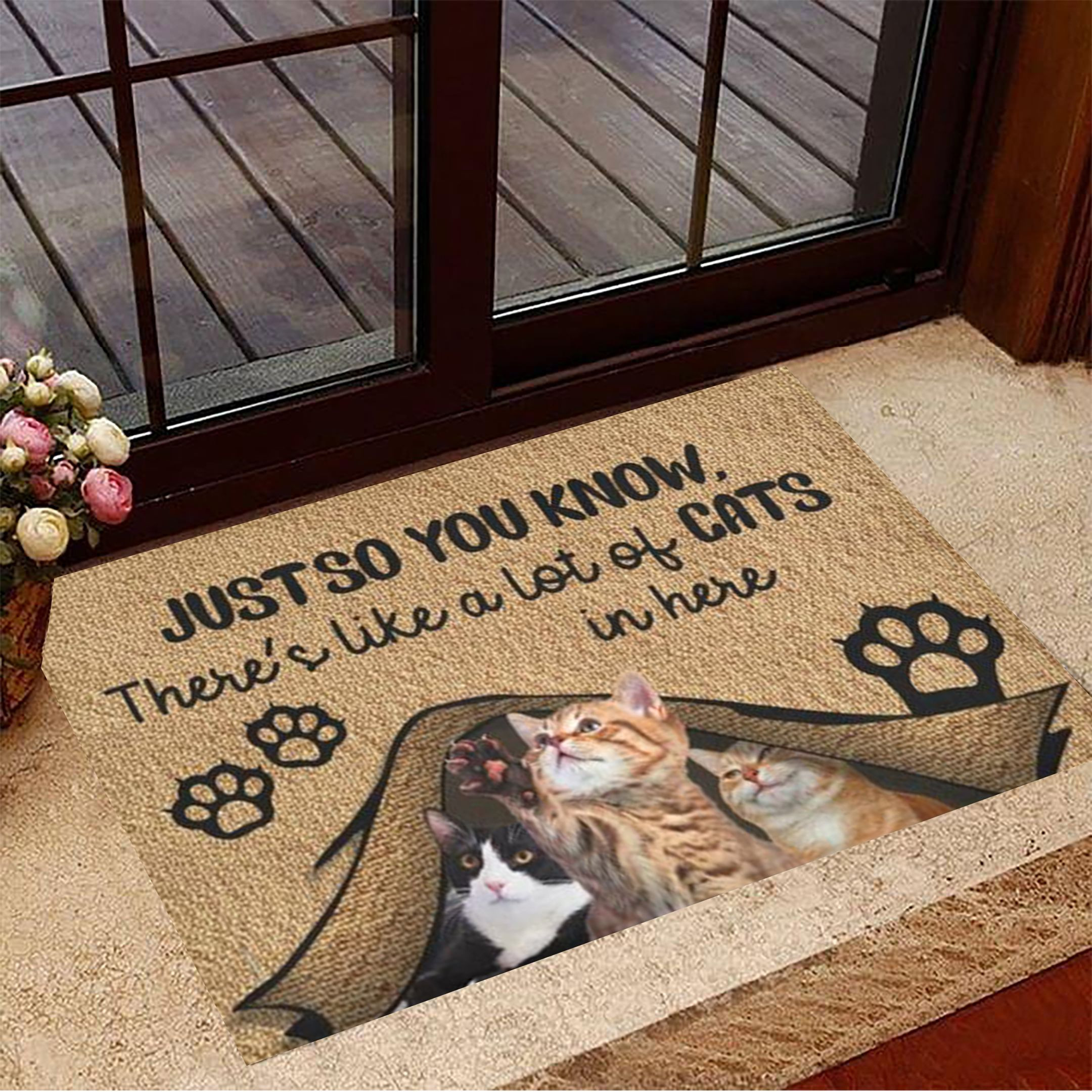 Just So You Know There's Like A Lot Of Cats In Here Rubber Doormat Indoor Door Mats Cute Cat Gifts